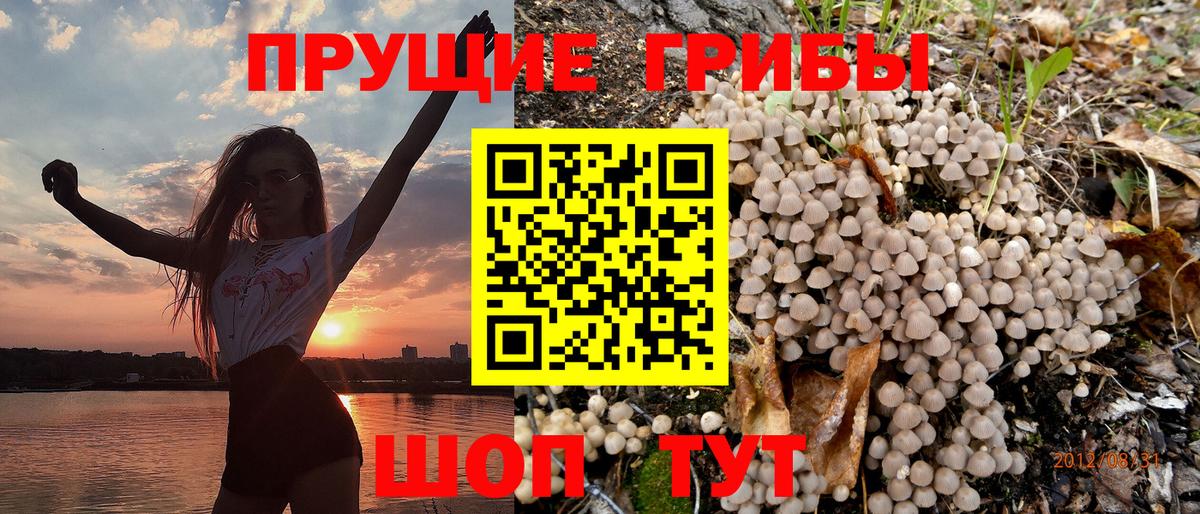 Наро-Фоминск  Псилоцибиновые грибы прущие грибы  Вход с VPN 